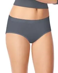 Hanes 4-Pack Microfibre Panty - Full-Brief - Multi-Color