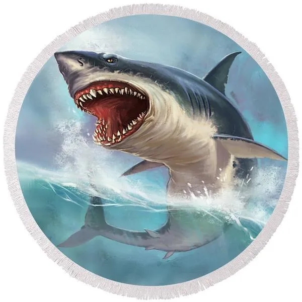 The Sharks Collection of Round Beach Towels